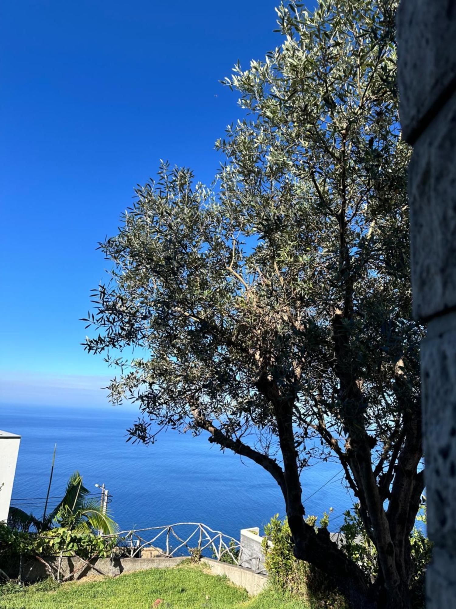Вилла Cozy Sea View House Faja Da Ovelha Кальета Экстерьер фото